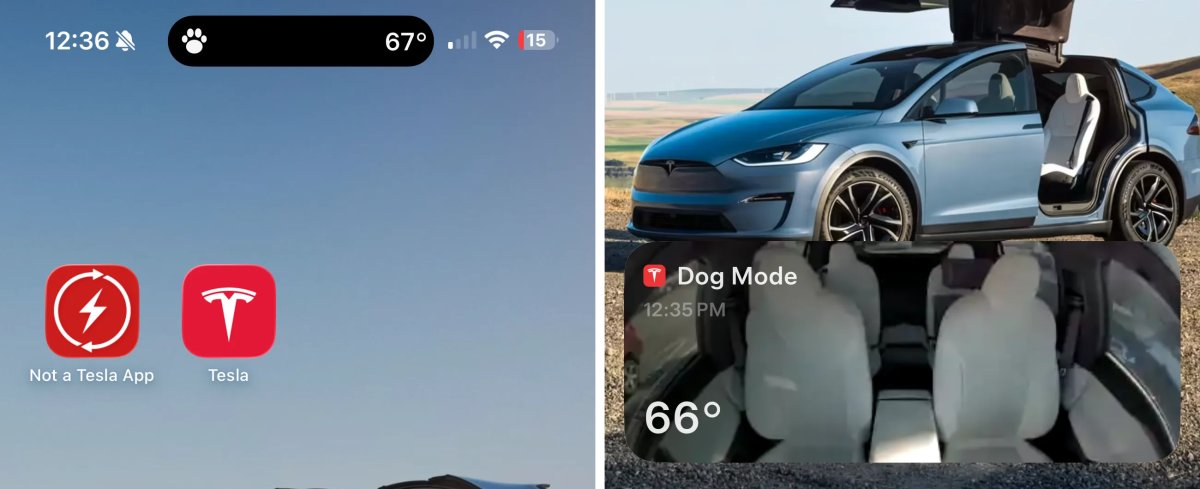 Definitely a big win for pet owners everywhere.